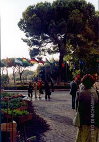 Esterni sede Fao a Roma - photo by m.ba Esterni sede Fao a Roma - photo by m.ba